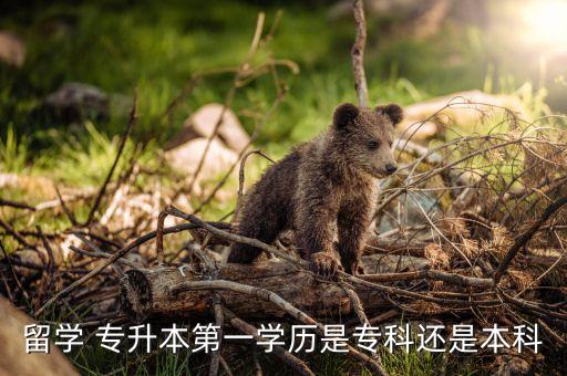 留學(xué) 專升本第一學(xué)歷是專科還是本科