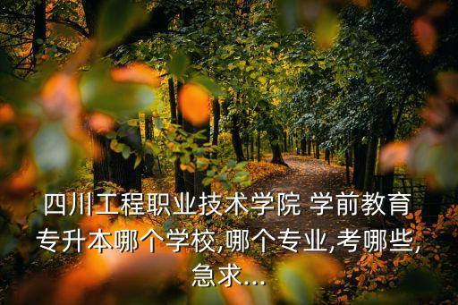  四川工程職業(yè)技術(shù)學(xué)院 學(xué)前教育 專升本哪個(gè)學(xué)校,哪個(gè)專業(yè),考哪些,急求...