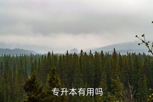  專升本有用嗎