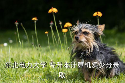 東北電力大學(xué) 專(zhuān)升本計(jì)算機(jī)多少分錄取