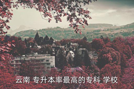 云南 專升本率最高的?？?學(xué)校