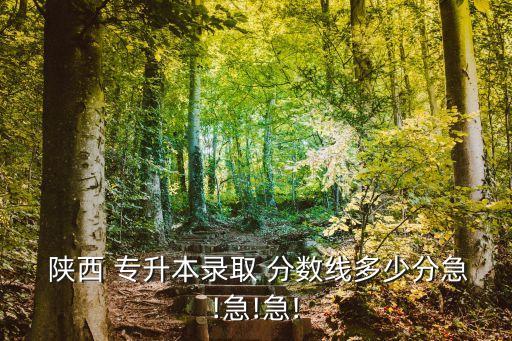  陜西 專升本錄取 分數(shù)線多少分急!急!急!