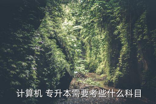  計算機 專升本需要考些什么科目