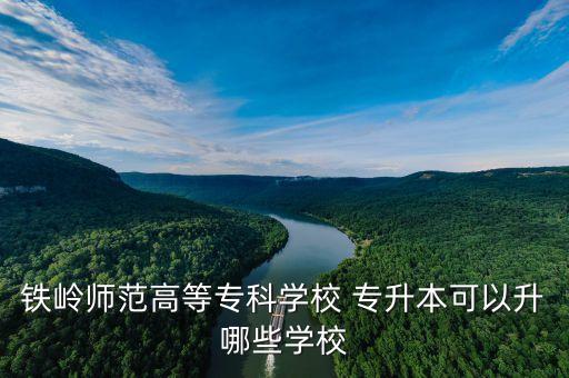 2017遼寧專升本 市場營銷,遼寧專升本2017年計算機真題