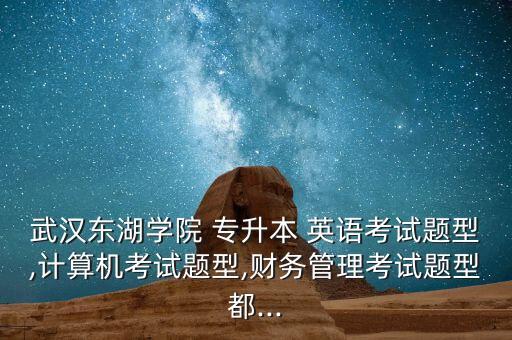 武漢東湖學(xué)院 專升本 英語考試題型,計算機(jī)考試題型,財務(wù)管理考試題型都...