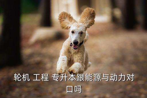  輪機(jī) 工程 專(zhuān)升本跟能源與動(dòng)力對(duì)口嗎