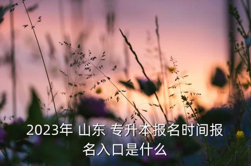 山東專升本繳費網(wǎng)站