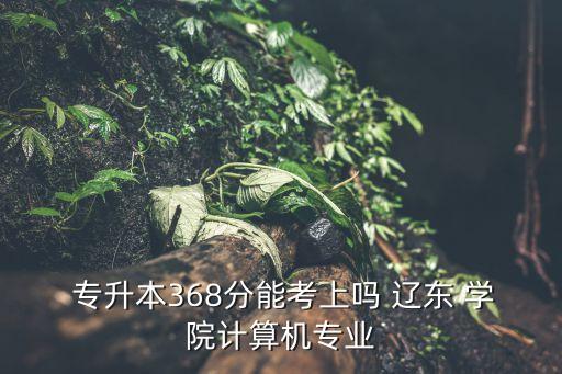  專升本368分能考上嗎 遼東 學院計算機專業(yè)