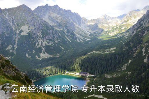  云南經(jīng)濟管理學院 專升本錄取人數(shù)