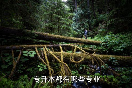  專(zhuān)升本都有哪些專(zhuān)業(yè)