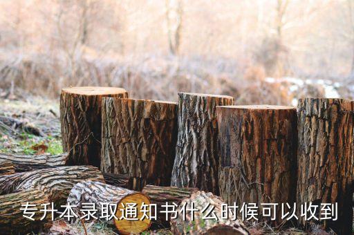 專升本資料什么時(shí)候出來,2023年專升本資料什么時(shí)候出