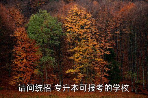 請問統(tǒng)招 專升本可報考的學校