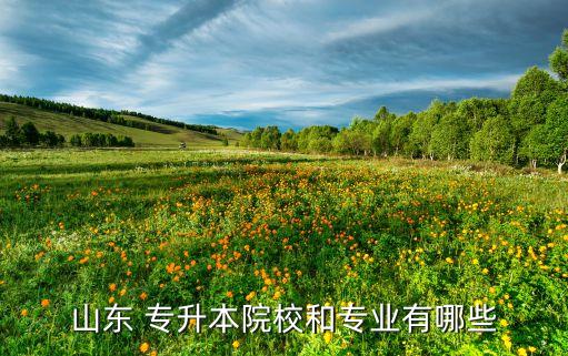 山東 專升本院校和專業(yè)有哪些