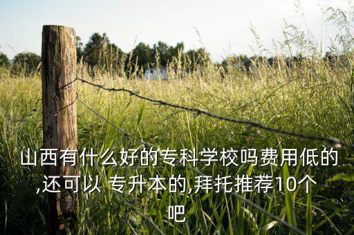  山西有什么好的?？茖W(xué)校嗎費(fèi)用低的,還可以 專升本的,拜托推薦10個(gè)吧