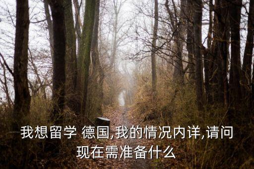 我想留學(xué) 德國,我的情況內(nèi)詳,請問現(xiàn)在需準(zhǔn)備什么