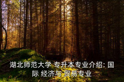 湖北師范大學(xué) 專升本專業(yè)介紹: 國(guó)際 經(jīng)濟(jì)與 貿(mào)易專業(yè)