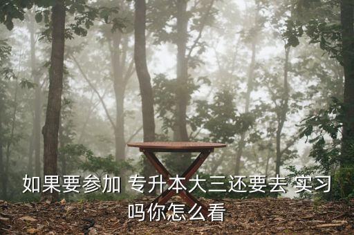 如果要參加 專升本大三還要去 實(shí)習(xí)嗎你怎么看