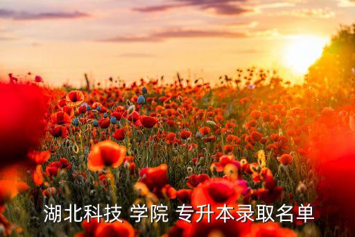  湖北科技 學(xué)院 專(zhuān)升本錄取名單