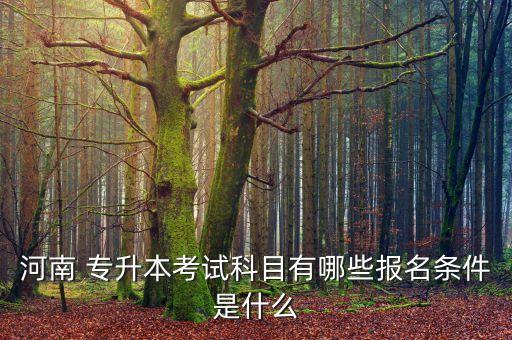 河南 專(zhuān)升本考試科目有哪些報(bào)名條件是什么