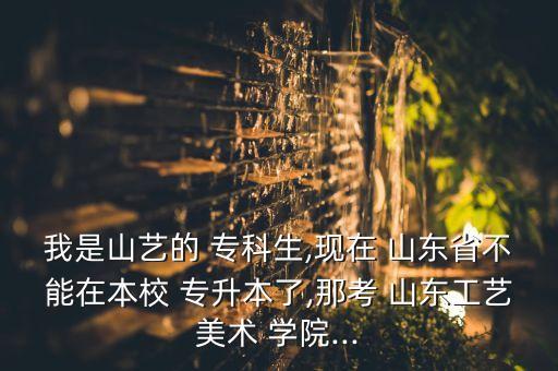 我是山藝的 ?？粕?現(xiàn)在 山東省不能在本校 專升本了,那考 山東工藝美術(shù) 學(xué)院...