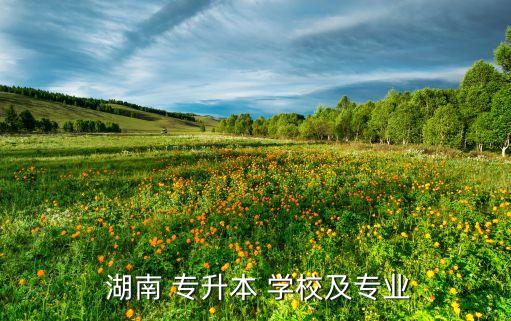  湖南 專升本 學(xué)校及專業(yè)