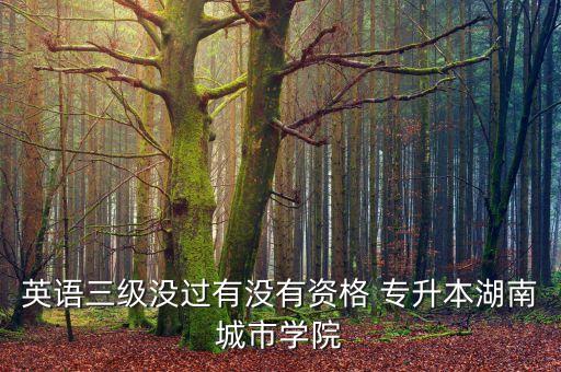 英語三級沒過有沒有資格 專升本湖南城市學院