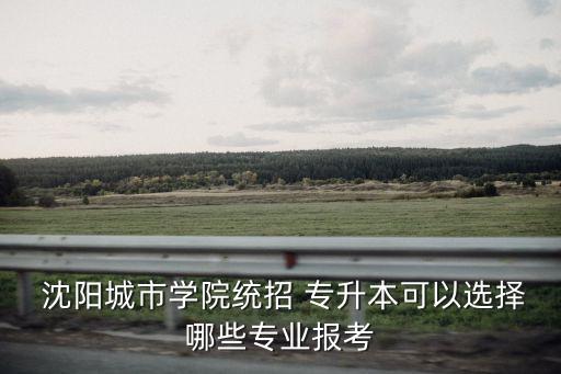  沈陽城市學院統(tǒng)招 專升本可以選擇哪些專業(yè)報考