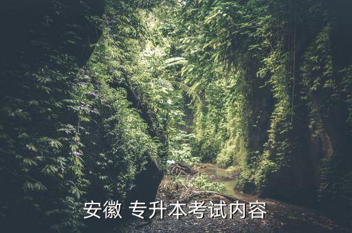 安徽 專(zhuān)升本考試內(nèi)容