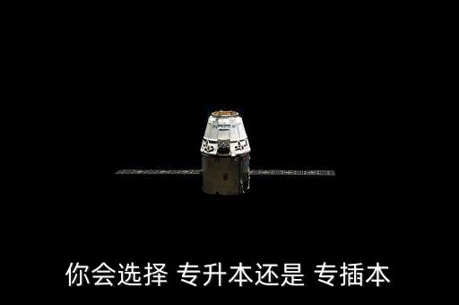 你會(huì)選擇 專(zhuān)升本還是 專(zhuān)插本