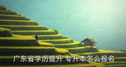  廣東省學(xué)歷提升 專升本怎么報名