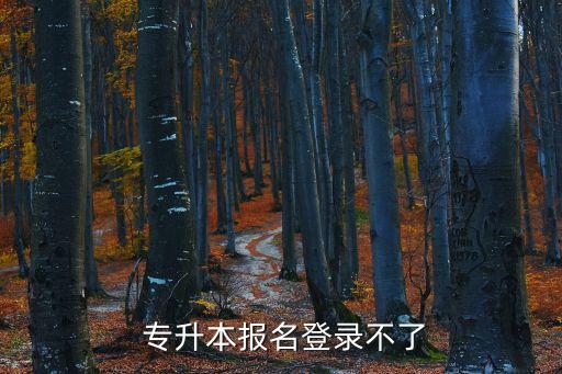  專升本報名登錄不了