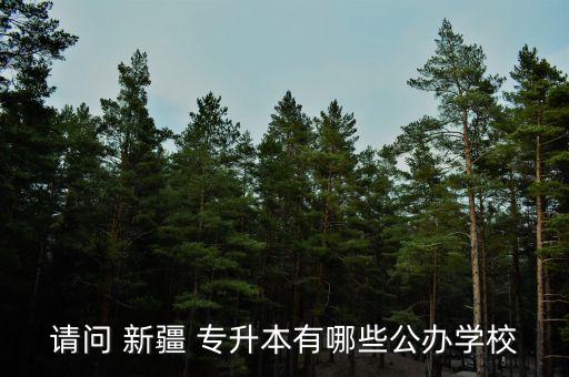 請問 新疆 專升本有哪些公辦學校
