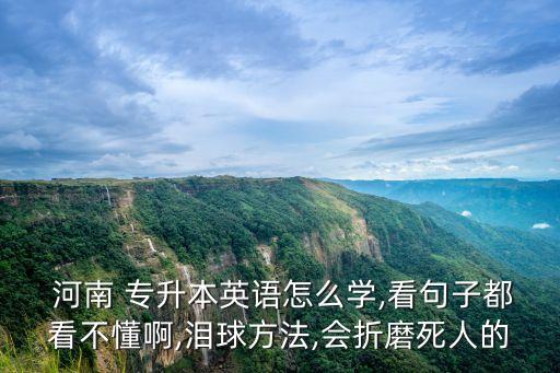  河南 專升本英語怎么學,看句子都看不懂啊,淚球方法,會折磨死人的