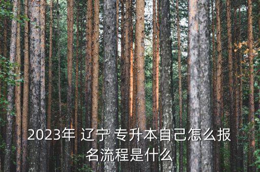 2023年 遼寧 專升本自己怎么報名流程是什么