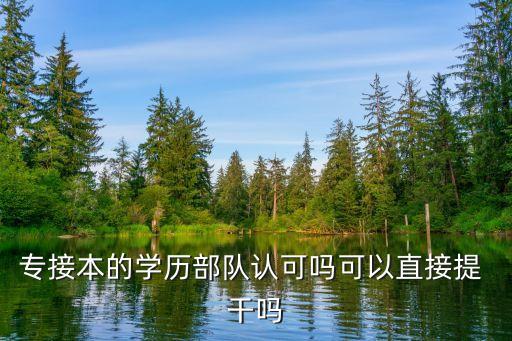 專接本的學(xué)歷部隊認(rèn)可嗎可以直接提 干嗎