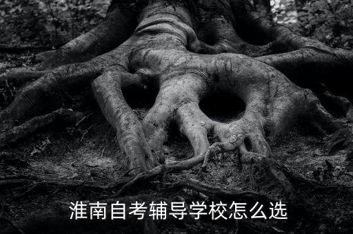  淮南自考輔導(dǎo)學(xué)校怎么選