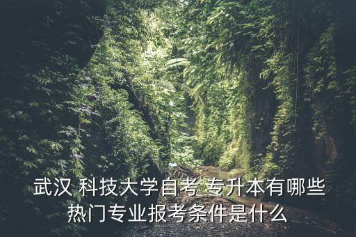 武漢科技大學(xué)專(zhuān)升本搬家吊裝