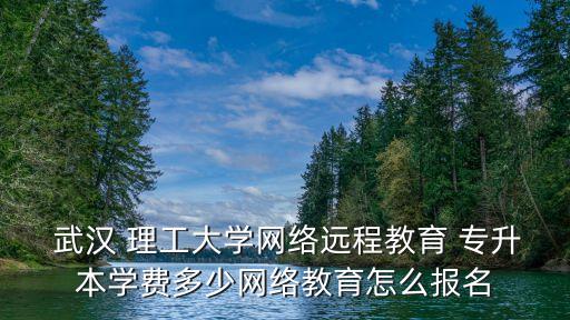  武漢 理工大學網(wǎng)絡(luò)遠程教育 專升本學費多少網(wǎng)絡(luò)教育怎么報名