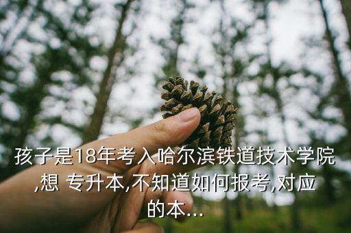18年專(zhuān)升本招生,2022年貴州專(zhuān)升本招生計(jì)劃公布