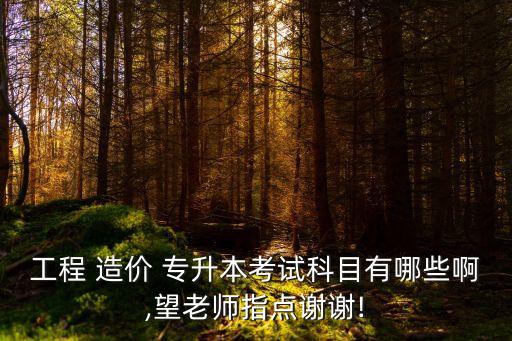 造價(jià)專業(yè)專升本,工程造價(jià)專業(yè)專升本考試科目