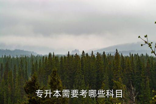 山東專升本藝術專業(yè)有哪些