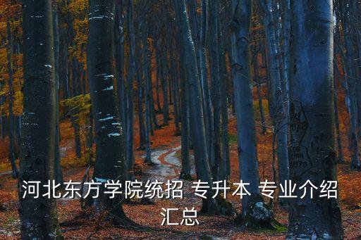專(zhuān)升本審計(jì)學(xué)有什么專(zhuān)業(yè),山東專(zhuān)升本審計(jì)學(xué)分?jǐn)?shù)線(xiàn)