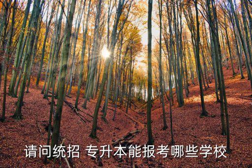請問統(tǒng)招 專升本能報(bào)考哪些學(xué)校