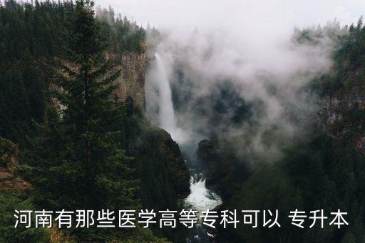 河南有那些醫(yī)學高等?？瓶梢?專升本