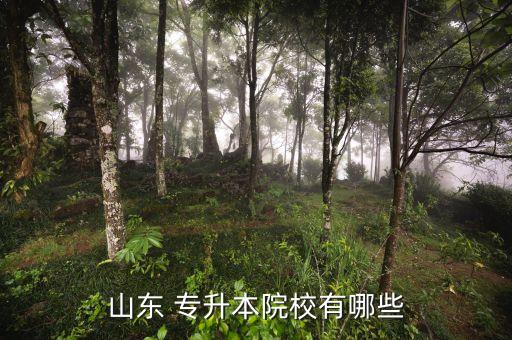 山東省專升本高的?？茖W(xué)校
