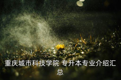 重慶城市科技學(xué)院 專升本專業(yè)介紹匯總