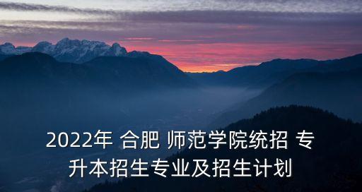 2022年 合肥 師范學(xué)院統(tǒng)招 專升本招生專業(yè)及招生計劃