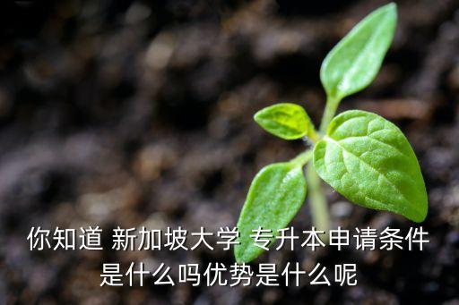 你知道 新加坡大學(xué) 專升本申請(qǐng)條件是什么嗎優(yōu)勢(shì)是什么呢