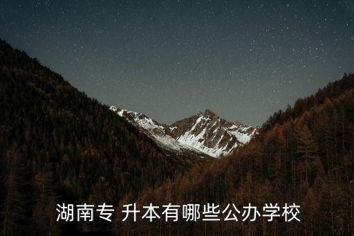  湖南專 升本有哪些公辦學校