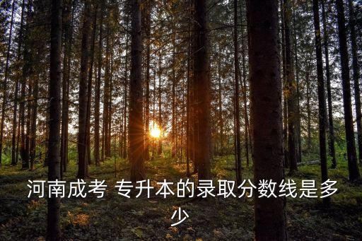  河南成考 專升本的錄取分數(shù)線是多少